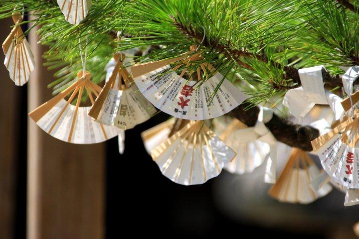 京都・大阪発：天橋立・伊根船屋・みやま日帰りツアー