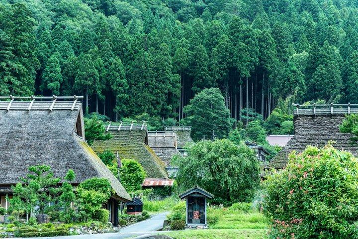 京都・大阪発：天橋立・伊根船屋・みやま日帰りツアー