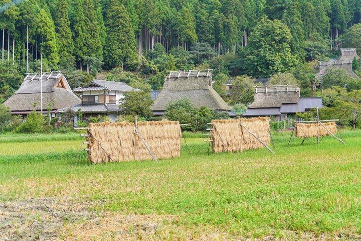 京都・大阪発：天橋立・伊根船屋・みやま日帰りツアー