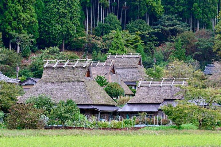 京都・大阪発：天橋立・伊根船屋・みやま日帰りツアー