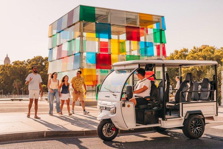 Malaga: tour privato imperdibile in tuk-tuk elettrico (2 ore)