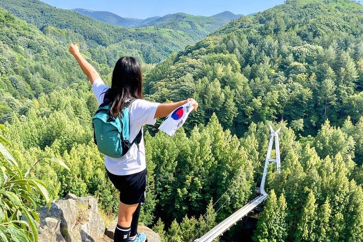 全州韓屋村全日ツアー : チャンテサン緑の森