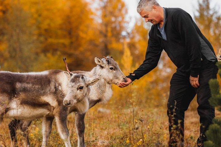 Hoteller i nærheden af Hidden Stuðlagil Canyon & Reindeer Tour