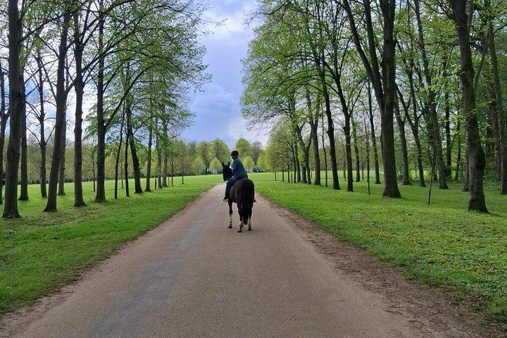 Balade privée à cheval dans le château de Versailles
