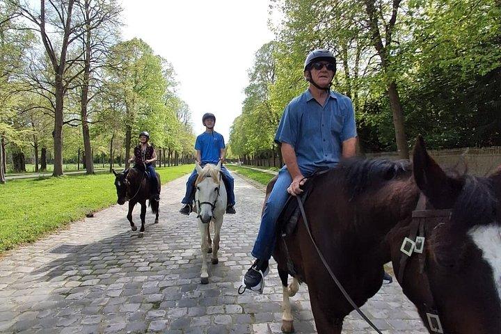 Balade privée à cheval dans le château de Versailles