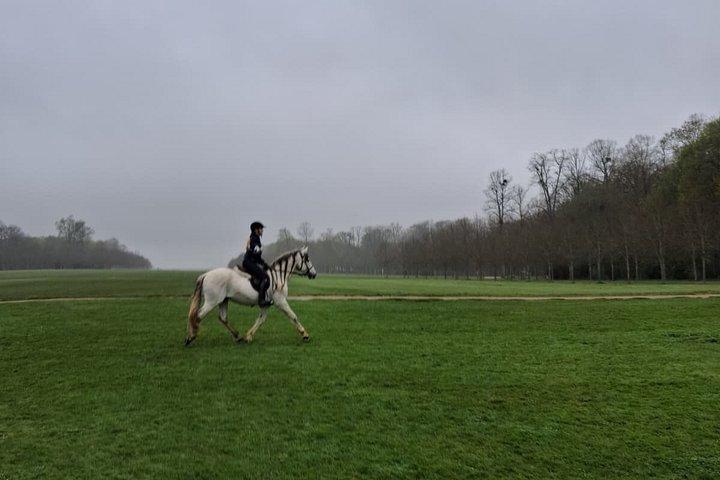 Balade privée à cheval dans le château de Versailles