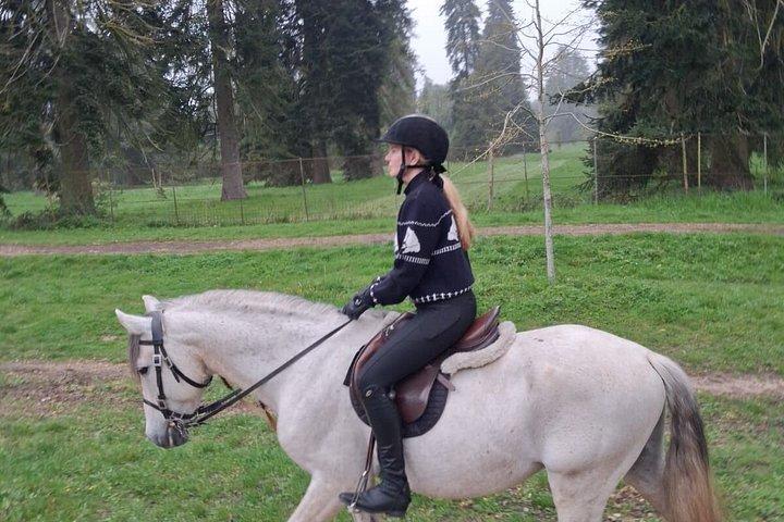 Balade privée à cheval dans le château de Versailles