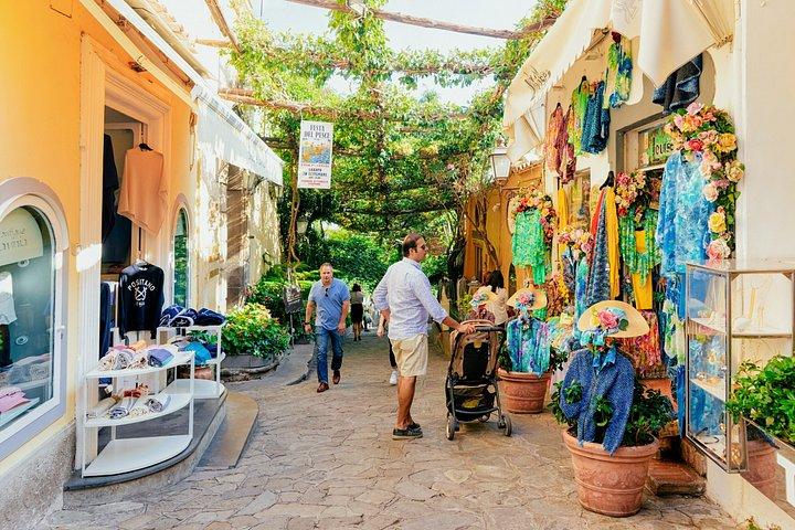Exclusive Positano & Sorrento: Small Group from Naples