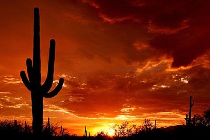 Vanaf Phoenix Saguaro grafsteen en Bisbee gedeelde dagtour