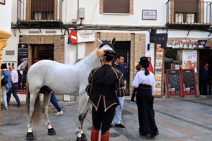 Tour privato VIP dell'Andalusia, con tappe a Siviglia, Granada e Cordova, da Madrid.