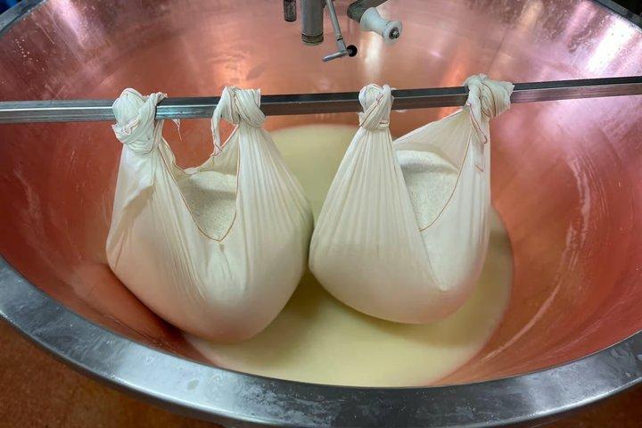 Modena Tour privato Parmigiano Reggiano Bio con Degustazione