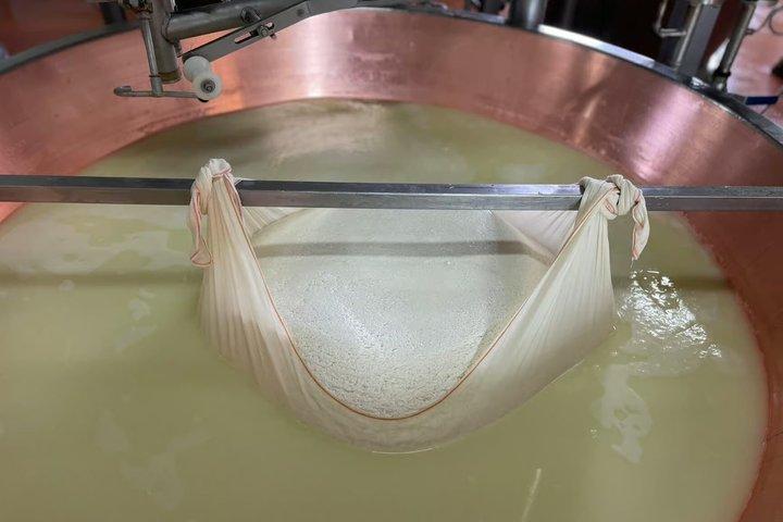 Modena Tour privato Parmigiano Reggiano Bio con Degustazione