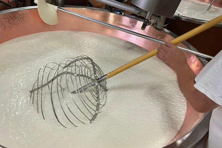 Modena Tour privato Parmigiano Reggiano Bio con Degustazione