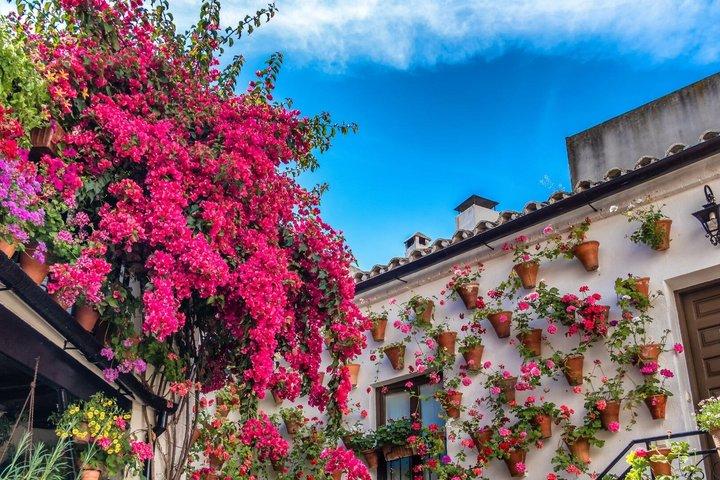 Tour privato VIP dell'Andalusia, con tappe a Siviglia, Granada e Cordova, da Madrid.