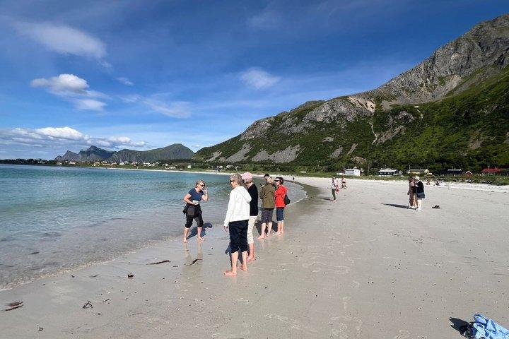 Excursión en tierra de Lofoten desde Leknes: Reine, Hamnøy & Å