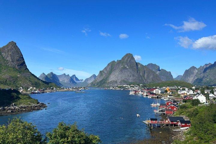 Excursión en tierra de Lofoten desde Leknes: Reine, Hamnøy & Å