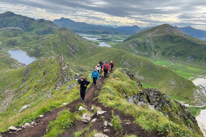 Private Lofoten gruppe tur fra Svolvær