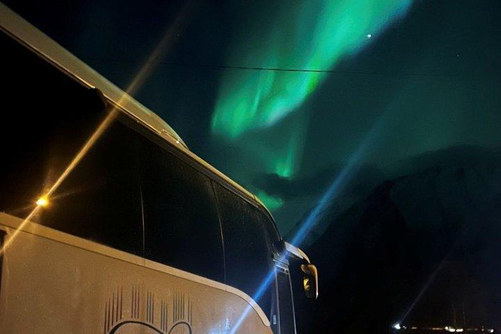 Private Lofoten gruppe tur fra Svolvær