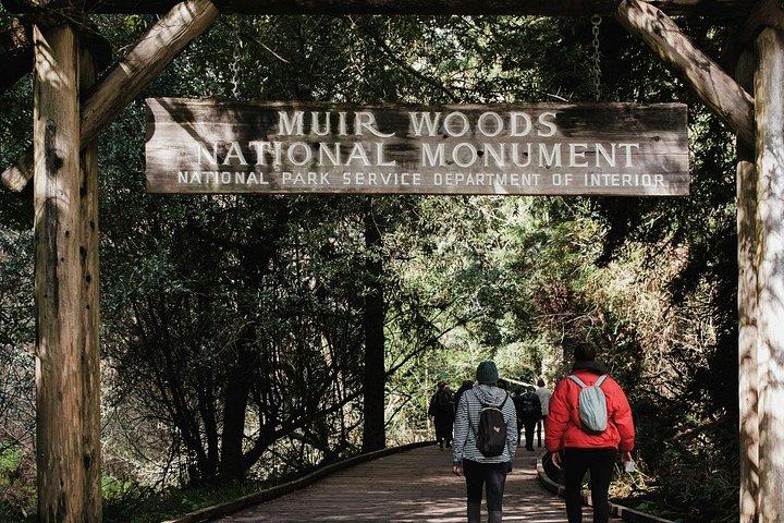 Muir Woods, Golden Gate Bridge, and Sausalito Coastal Experience