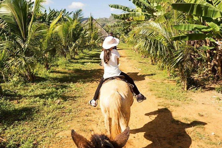Equitazione, carrozzine e spiaggia Escape Amber cove Taino Bay