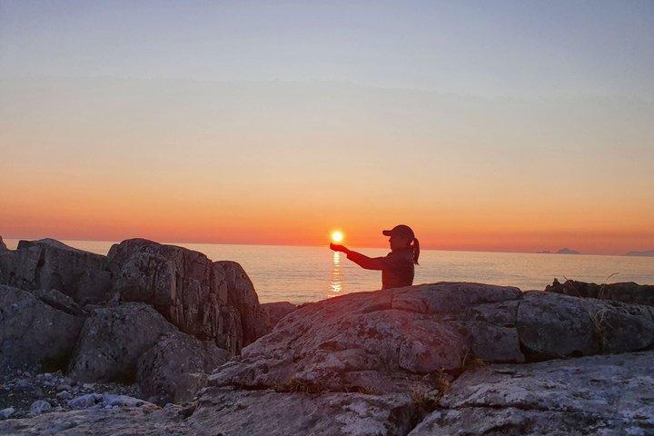 Excursión en tierra de Lofoten desde Leknes: Reine, Hamnøy & Å