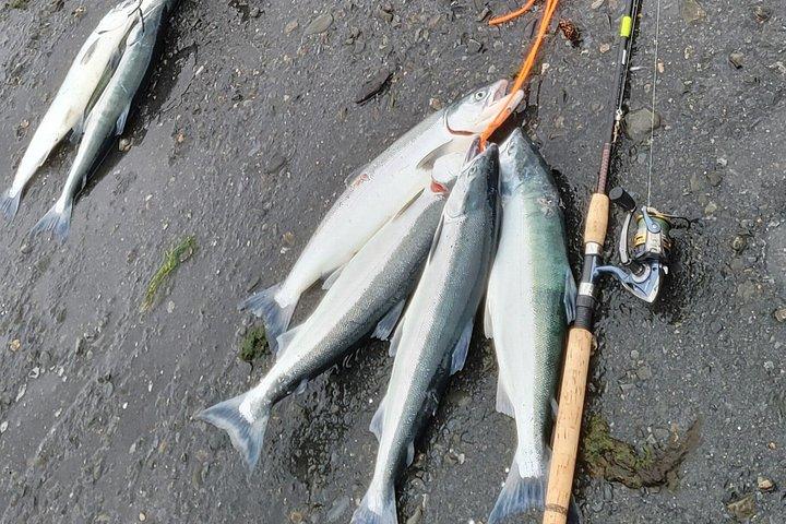 アラスカ産サーモンの終日釣り（送迎付き）