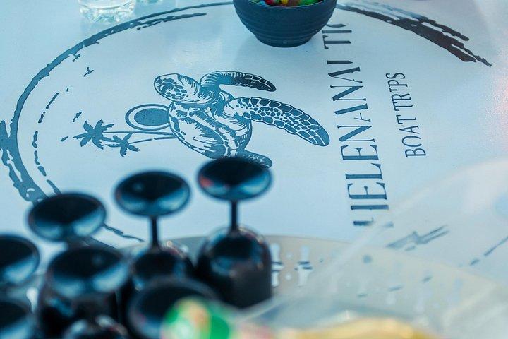 ベナルマデナのプライベートボートツアー：オープンバー、水泳、イルカウォッチング