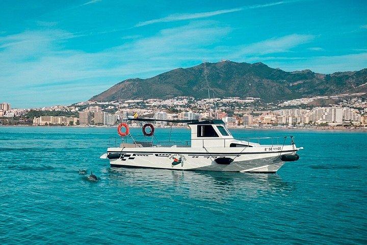 ベナルマデナのプライベートボートツアー：オープンバー、水泳、イルカウォッチング