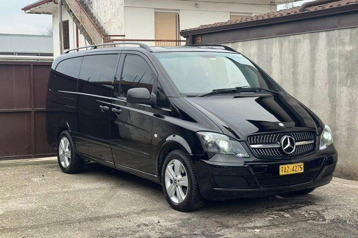 Excursion privée à Olympie au départ de Katakolon en mini van (1 - 8personnes)