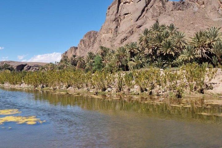 Ouarzazate Day Tour Ait Ben Haddou Film Studios og Fint Oasis