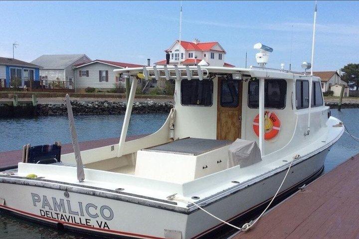 Sunset Cruise on the Atlantic Ocean from Indian River Marina