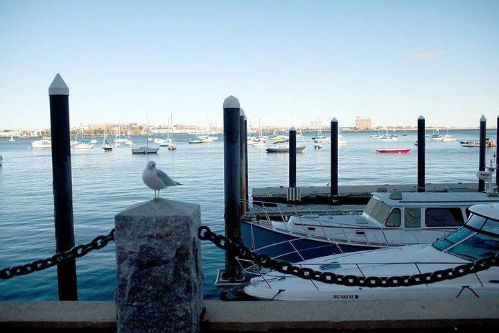 Boston fisk og skaldyr elskere mad og historie vandretur