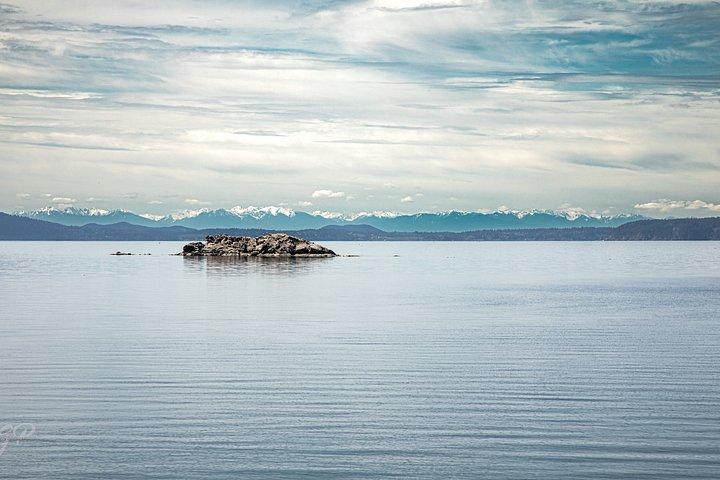 Full Day Orcas Island Tour from Bellingham
