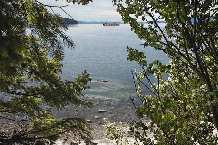 Full Day Orcas Island Tour from Bellingham
