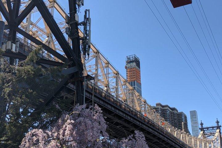 Roosevelt Island Tramway und selbstgeführte Geschichtstour