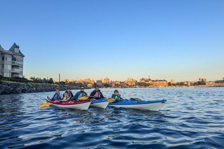 Visite du Victoria Harbour Sunset Kayak