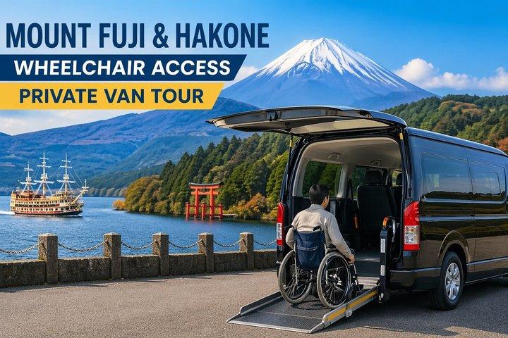 Tour privato con sedia a rotelle del Monte Fuji e Hakone