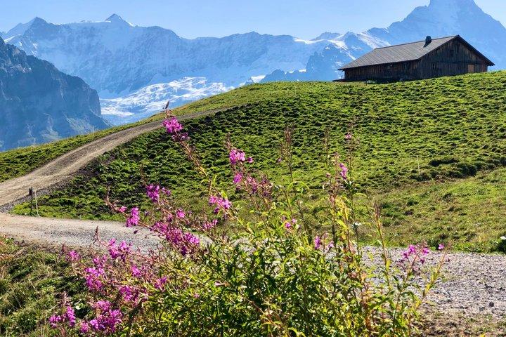Hoteller i nærheden af Grindelwald & Lauterbrunnen Private Day Trip