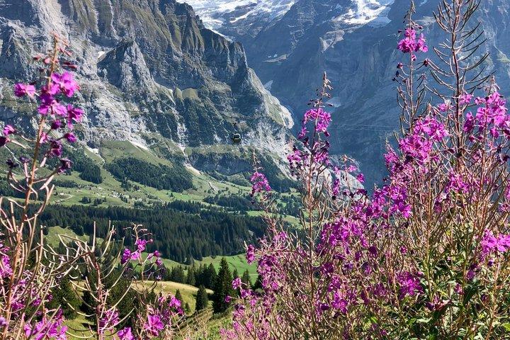 Hoteller i nærheden af Grindelwald & Lauterbrunnen Private Day Trip