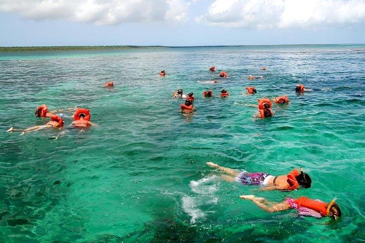 Excursão de snorkeling na Ilha Catalina a partir de Punta Cana