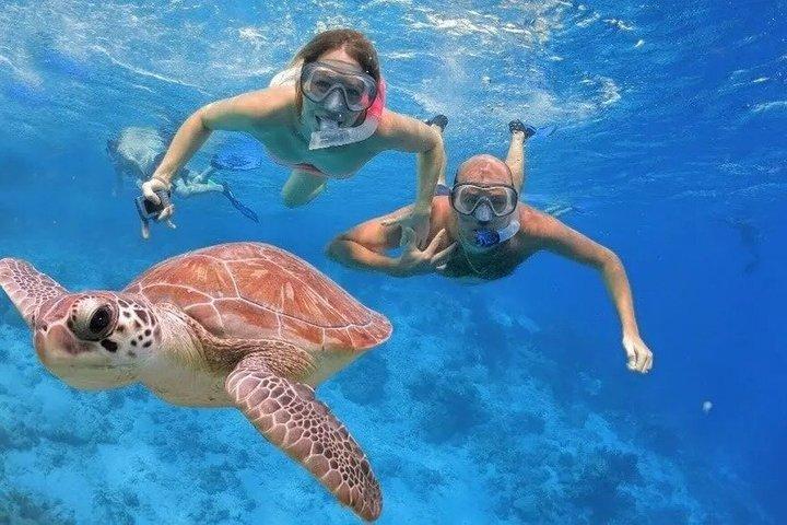 Excursão de snorkeling na Ilha Catalina a partir de Punta Cana