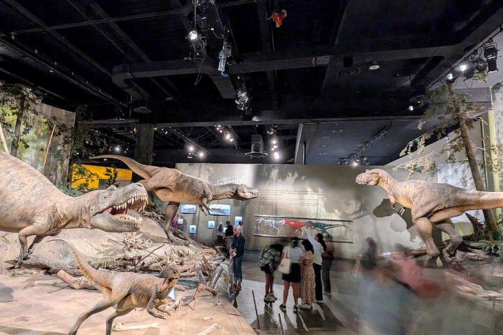 ドラムヘラー バッドランズ プライベートツアー
