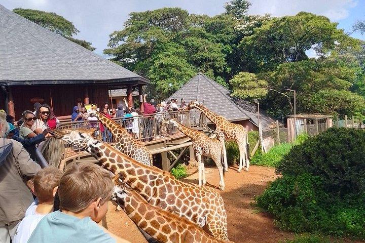 Beyond Boundaries Tours and Transfers