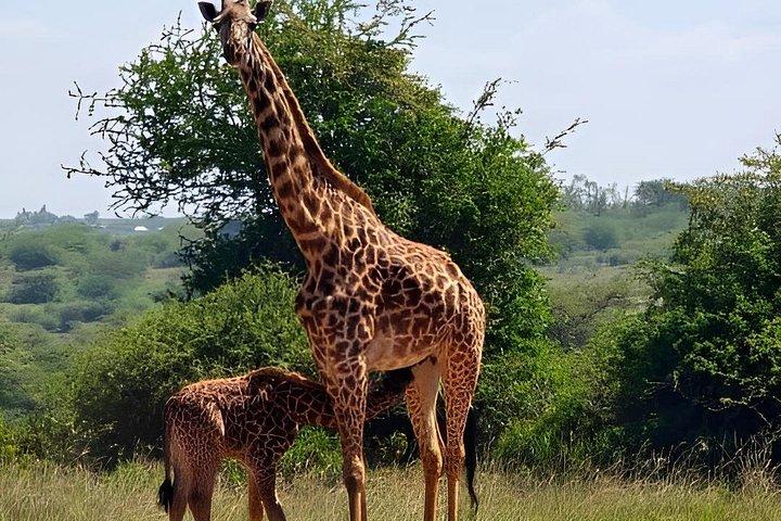 Beyond Boundaries Tours and Transfers