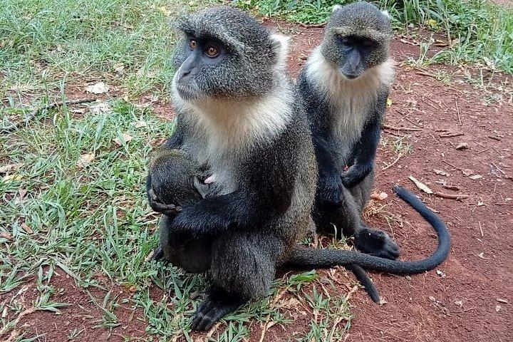 Beyond Boundaries Tours and Transfers