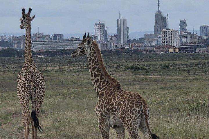 Beyond Boundaries Tours and Transfers