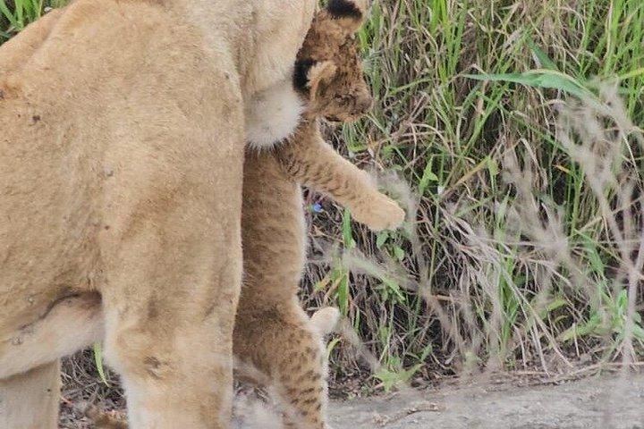 Beyond Boundaries Tours and Transfers