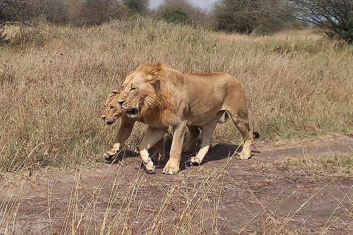 Beyond Boundaries Tours and Transfers