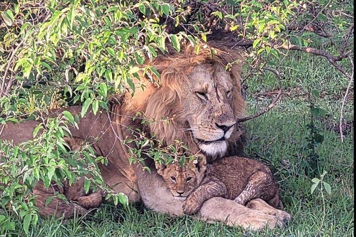 Beyond Boundaries Tours and Transfers