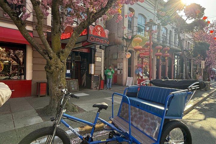 Visite privée privée du pédicab en vedette à Victoria